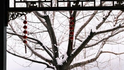 二十四節氣是什麼？順序表、農曆關係與日期查詢教學